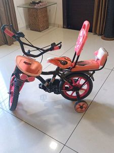 Kids Bicycle with Training Wheels