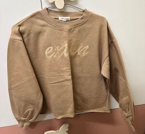 Tan Embroidered Cropped Sweatshirt