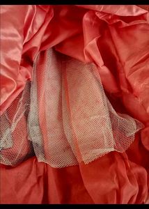 Lehnga Choli Duptta