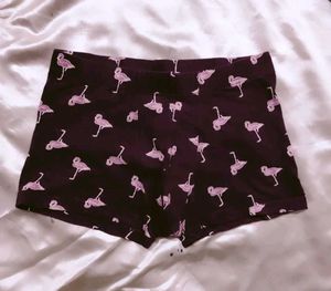 Flamingo Print Shorts