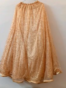Sparkling Golden Lehenga Choli