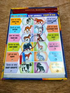 Educational Animals &amp; Birds Electro Game