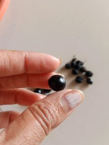 Curry Leaves Plant Seeds
