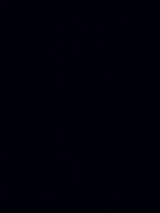 Test S5