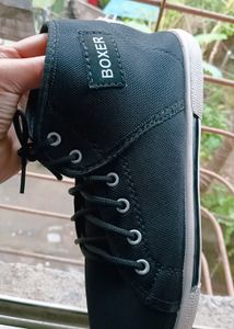 BOXER SHOES 