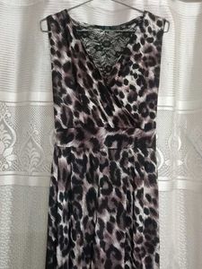 Animal Print Mini dangri dress