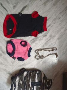 Dog Clothes