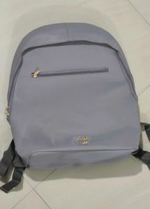 Baggit L Greedy purple solid laptop backpack