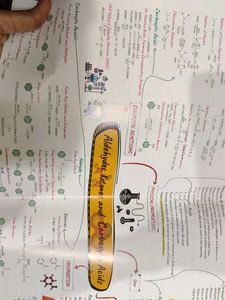 EduCart NEET Abhyaas Theory Maps Book