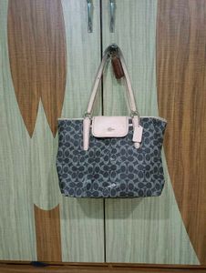 Coach Signature Print Tote Bag