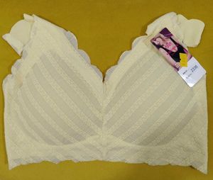 281 -- Women's Lace Trim Bra