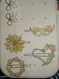 Hair Clips🌸
