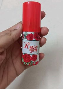 Designer Hair Clips + FREE Rosewater Bottle