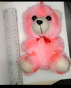 Pink teddy Bear 🐻