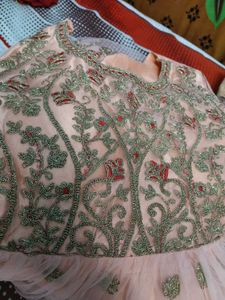 Stunning Embroidered Lehenga Choli