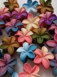 Cute Flower Hair Clips - Set of 23