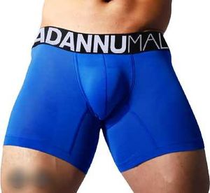 Blue Boxer Briefs with Logo Waistband