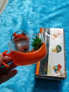 2 Glass Cup Kitchen Accessories