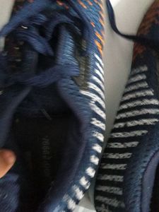 Striped Knit Sneakers