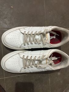 DUCATI AND REDTAPE SNEAKERS ( pair of 2 )