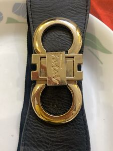 Designer Elastic Belt with Gold Buckle