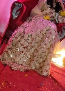 Elegant Sequined Pakistani Dress