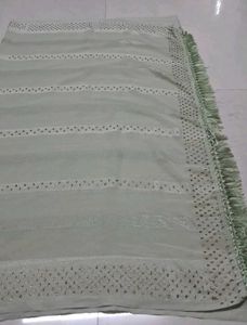 Elegant Light Green Embellished Saree