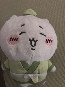 rare chiikawa plushie