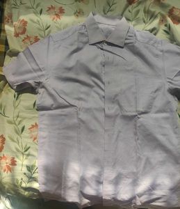 Men's Classic Lavender Short Sleeve Shirt