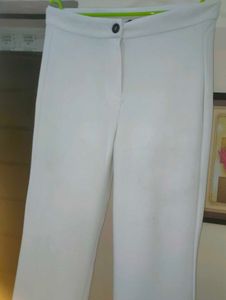 Popwings Women Casual  Solid pant