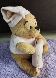 Winnie the Pooh Plush Photo Frame