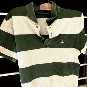 Classic Forest Stripe Polo 💚