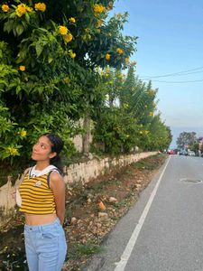 Yellow &amp; Navy Striped Top