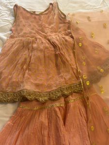 Peach Ethnic Gown with Gold Print