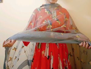 Grey Embroidered Dupatta with Butterfly Motifs