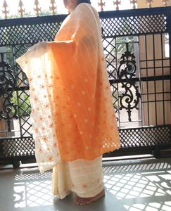 Beautiful Saree