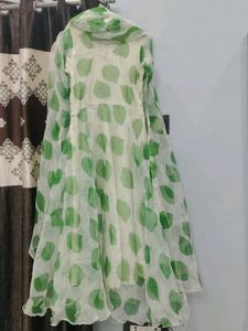 Elegant organza long frock