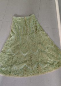 Beautiful Pastel Green Lehenga Choli Set