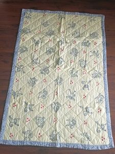 Cute Monkey Print Quilt-(0 to 5yrs)