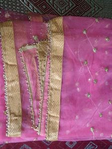 Embellished Pink Net Dupatta