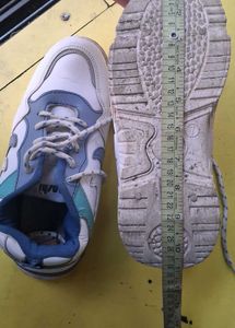 Casual White &amp; Blue Sneakers