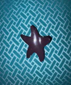 Combo of 3 Cute Starfish Hair Clips