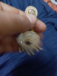 Exquisite Designer Jhumka Earrings