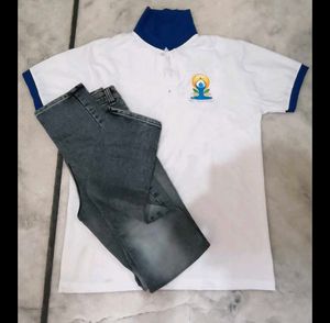 Stylish Polo T-Shirt + Grey Jeans Combo 👖 Casual