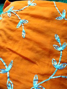 beautiful orange saree