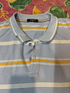 Striped Blue Polo T-Shirt