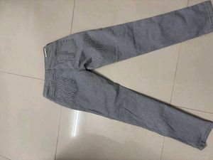 Strip Print Pant For Women