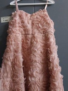 Rose Applique Party Dress