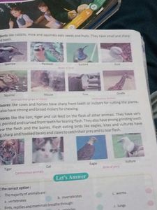 Interactive Science Textbook Grade 5