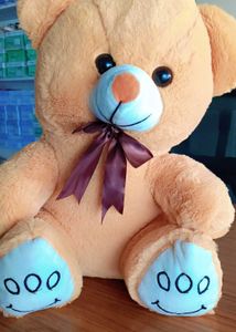 Cute Teddy Bear